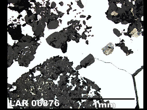 Thin Section Photo of Sample LAR 06876  in Reflected Light