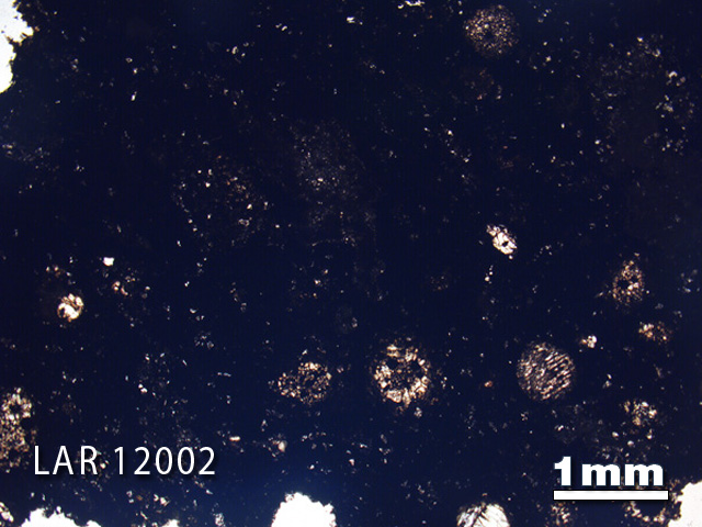 Thin Section Photograph of Sample LAR 12002 in Plane-Polarized Light