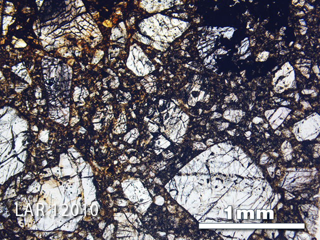 Thin Section Photograph of Sample LAR 12010 in Plane-Polarized Light