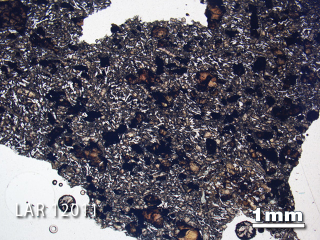 Thin Section Photograph of Sample LAR 12011 in Plane-Polarized Light