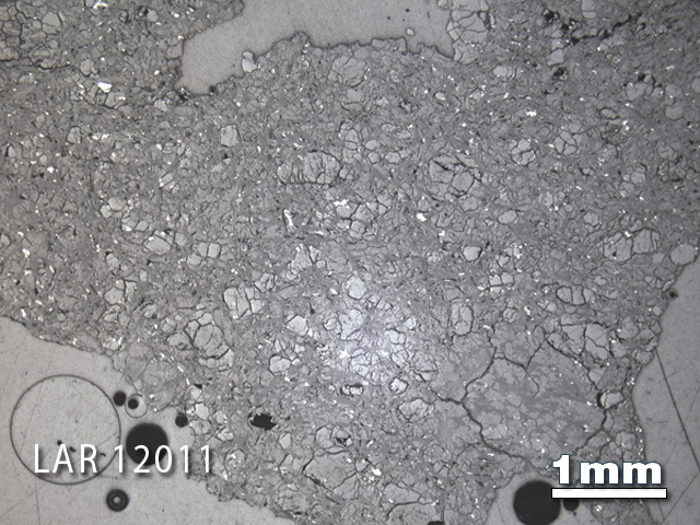 Thin Section Photograph of Sample LAR 12011 in Reflected Light