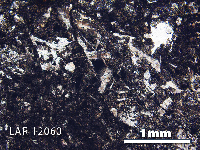 Thin Section Photograph of Sample LAR 12060 in Plane-Polarized Light