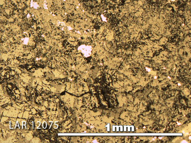 Thin Section Photo of Sample LAR 12075 in Reflected Light with 5X Magnification