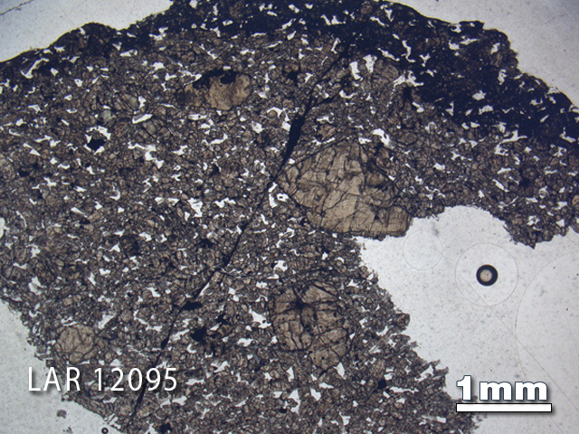 Thin Section Photograph of Sample LAR 12095 in Plane-Polarized Light