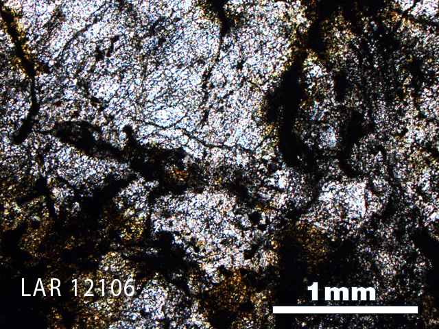 Thin Section Photo of Sample LAR 12106 in Plane-Polarized Light with 2.5X Magnification