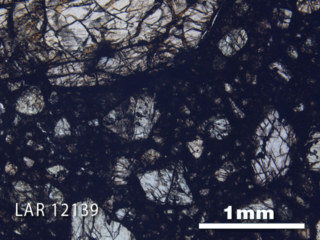 Thin Section Photograph of Sample LAR 12139 in Plane-Polarized Light