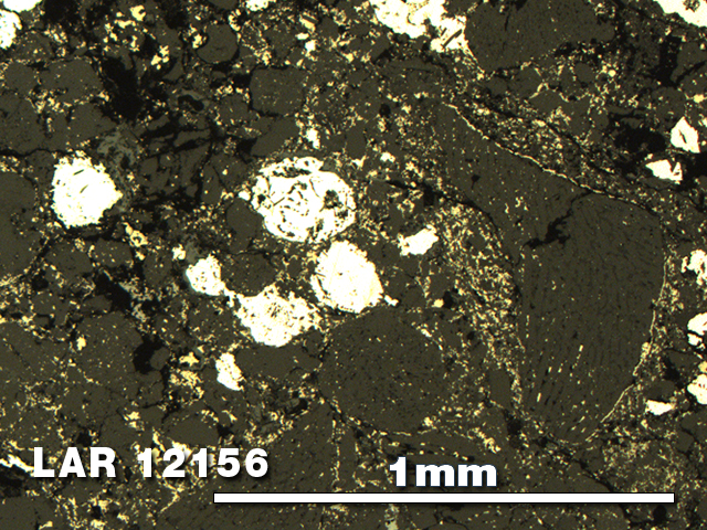 Thin Section Photo of Sample LAR 12156 in Reflected Light with 5X Magnification