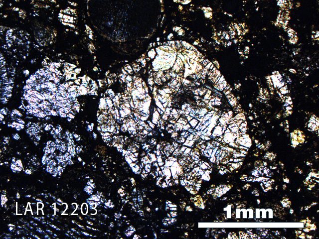 Thin Section Photo of Sample LAR 12203 in Plane-Polarized Light with 2.5X Magnification