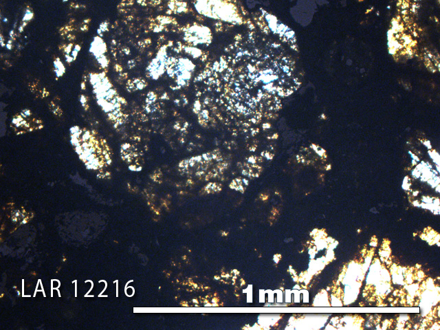 Thin Section Photo of Sample LAR 12216 in Plane-Polarized Light with 5X Magnification
