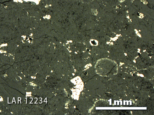 Thin Section Photo of Sample LAR 12234 in Reflected Light with 2.5X Magnification