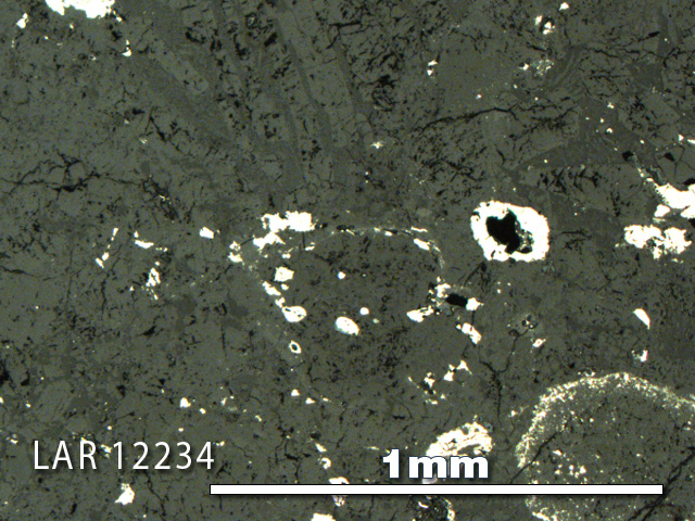 Thin Section Photo of Sample LAR 12234 in Reflected Light with 5X Magnification