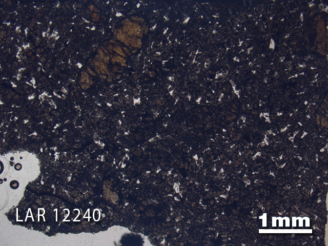 Thin Section Photograph of Sample LAR 12240 in Plane-Polarized Light