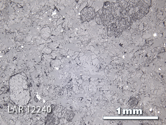 Thin Section Photograph of Sample LAR 12240 in Reflected Light