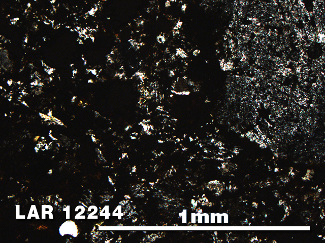 Thin Section Photo of Sample LAR 12244 in Plane-Polarized Light with 5X Magnification