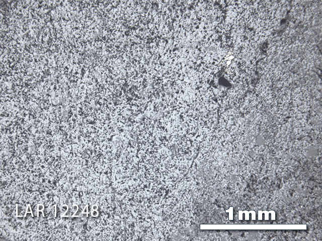 Thin Section Photograph of Sample LAR 12248 in Reflected Light