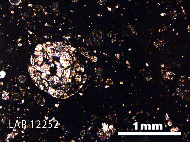Thin Section Photo of Sample LAR 12252 in Plane-Polarized Light with 2.5X Magnification