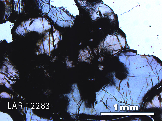 Thin Section Photo of Sample LAR 12283 in Plane-Polarized Light with 2.5X Magnification