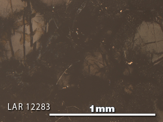 Thin Section Photo of Sample LAR 12283 in Reflected Light with 5X Magnification