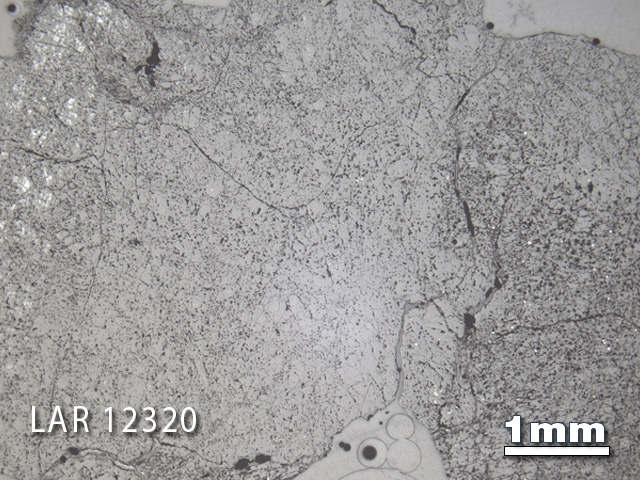 Thin Section Photograph of Sample LAR 12320 in Reflected Light