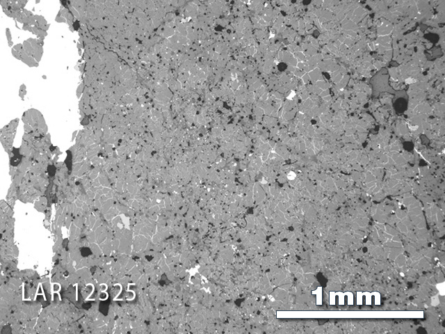 Thin Section Photograph of Sample LAR 12325 in Reflected Light