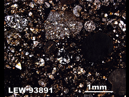 Thin Section Photograph of Sample LEW 93891 in Plane-Polarized Light
