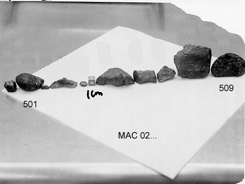 Lab Photo of Sample MAC 02501