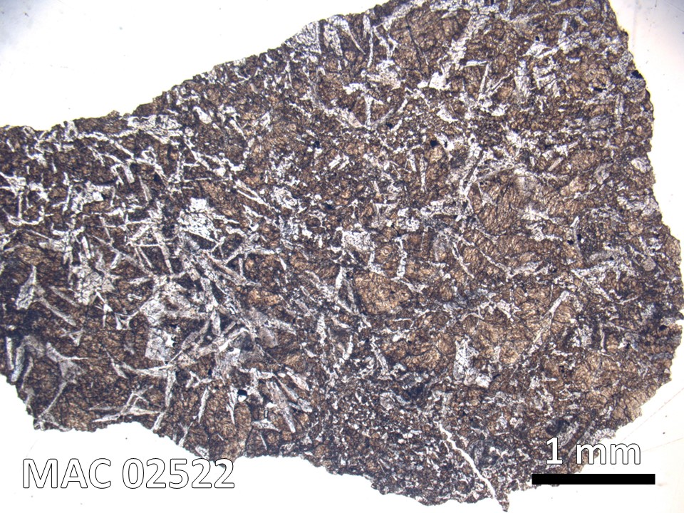 Thin Section Photo of Sample MAC 02522 in Plane-Polarized Light with 1.25X Magnification