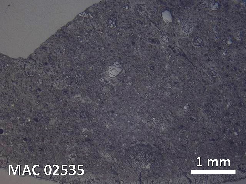 Thin Section Photo of Sample MAC 02535 in Reflected Light with 5X Magnification