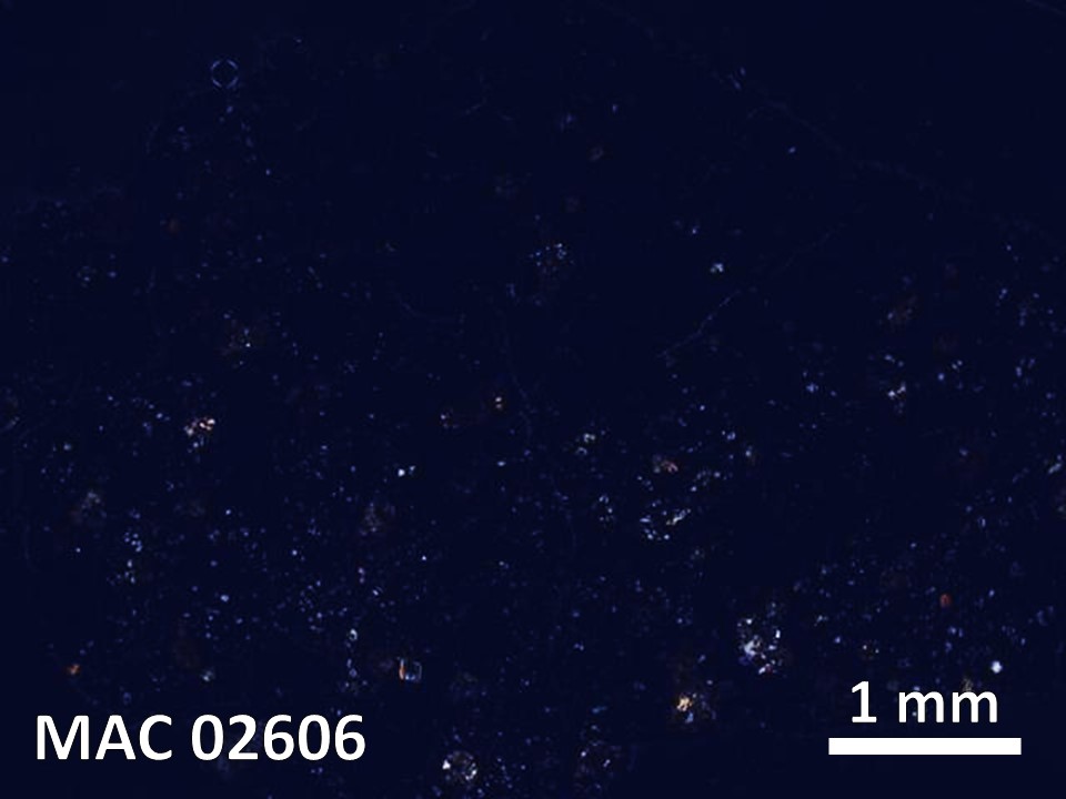 Thin Section Photo of Sample MAC 02606 in Reflected Light with  Magnification