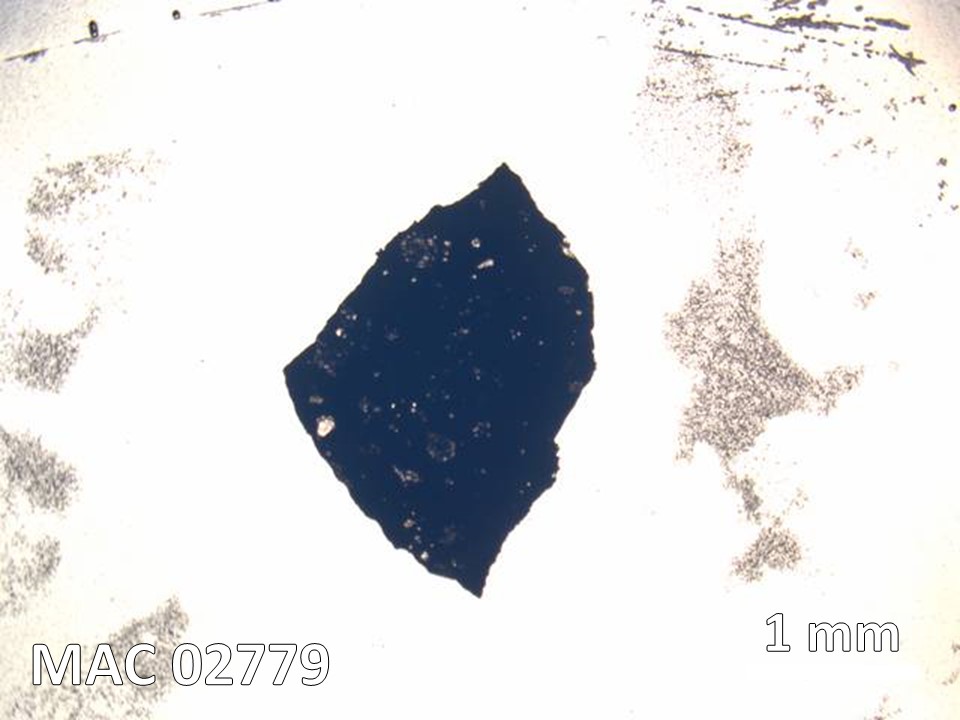 Thin Section Photo of Sample MAC 02779 in Plane-Polarized Light with  Magnification