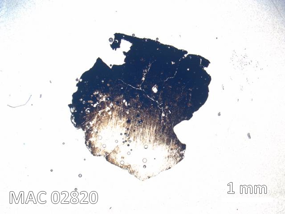 Thin Section Photo of Sample MAC 02820 in Plane-Polarized Light with 20X Magnification