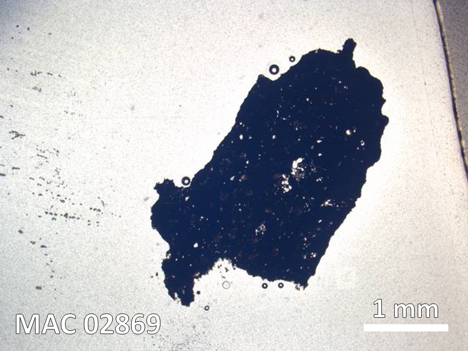 Thin Section Photo of Sample MAC 02869 in Plane-Polarized Light with  Magnification