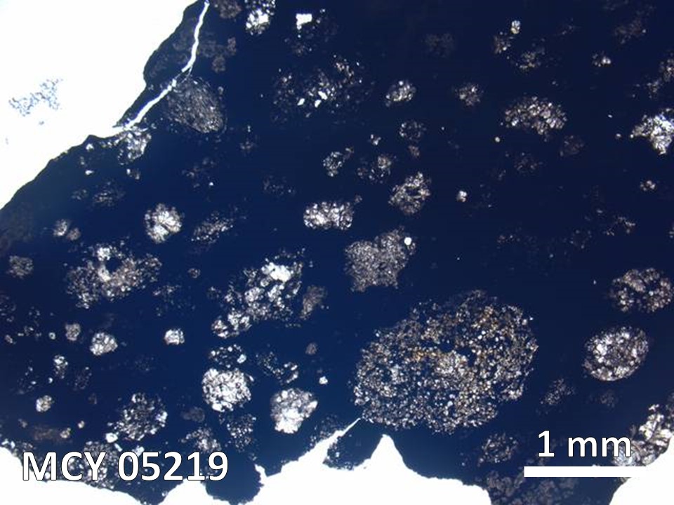 Thin Section Photo of Sample MCY 05219 in Plane-Polarized Light with 5X Magnification