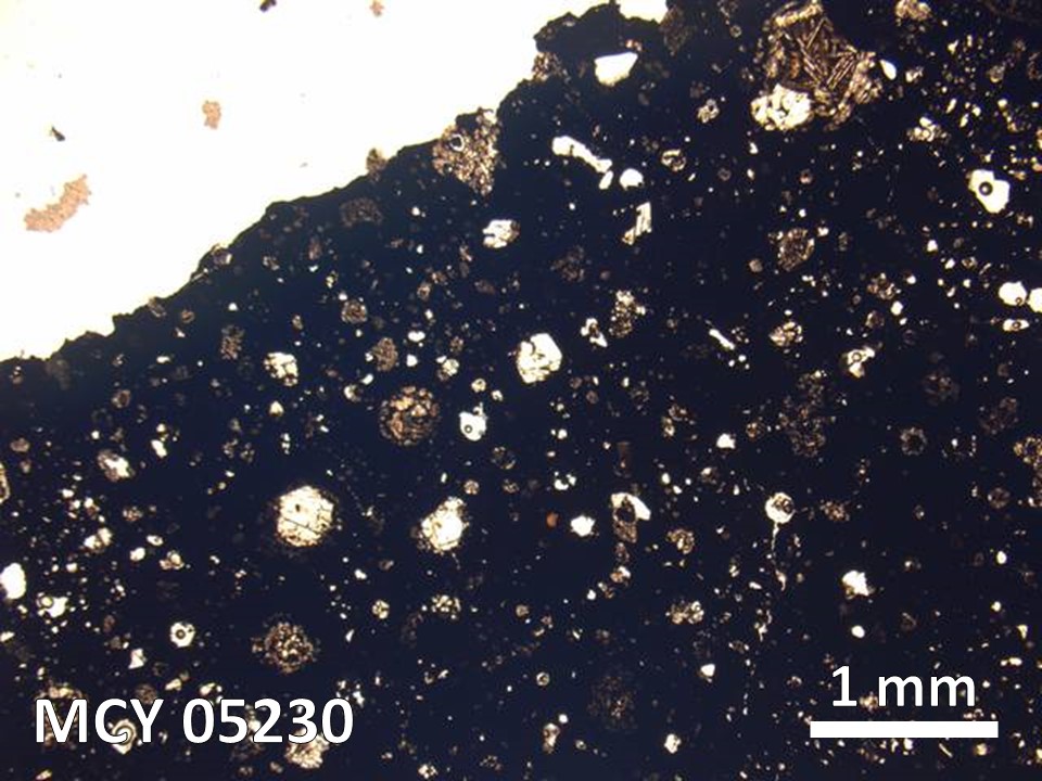 Thin Section Photo of Sample MCY 05230 in Plane-Polarized Light with 5X Magnification