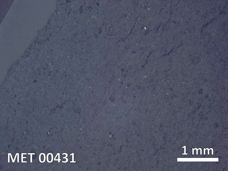 Thin Section Photo of Sample MET 00431 in Reflected Light with  Magnification