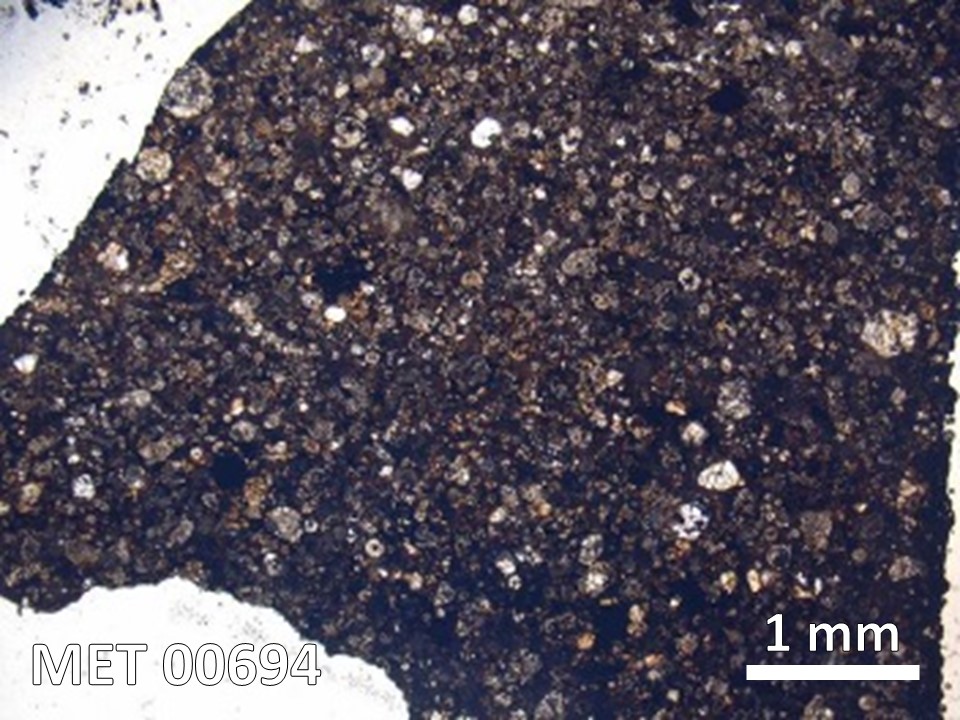Thin Section Photo of Sample MET 00694 in Plane-Polarized Light with  Magnification