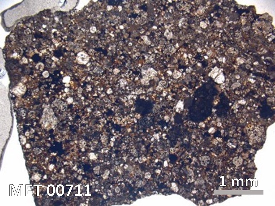 Thin Section Photo of Sample MET 00711 in Plane-Polarized Light with  Magnification