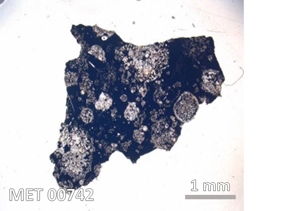 Thin Section Photo of Sample MET 00742 in Plane-Polarized Light with  Magnification