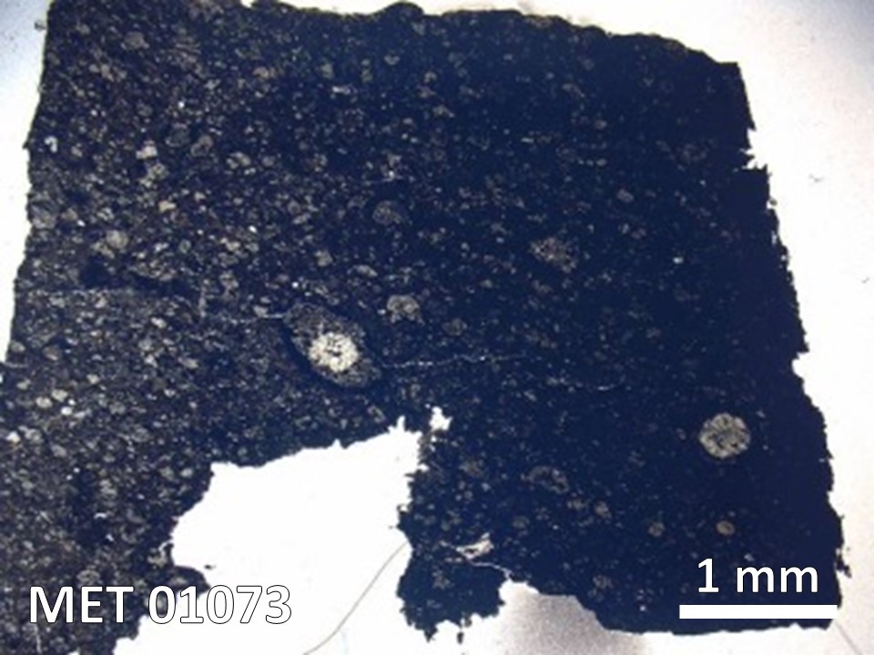 Thin Section Photo of Sample MET 01073 in Plane-Polarized Light with  Magnification