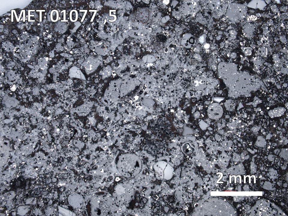 Thin section photo of MET 01077 ,5 in reflected light at 2.5x magnification.