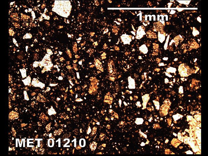 Thin Section Photograph of Sample MET 01210 in Plane-Polarized Light