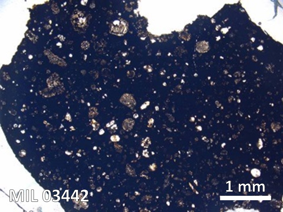 Thin Section Photo of Sample MIL 03442 in Plane-Polarized Light with  Magnification
