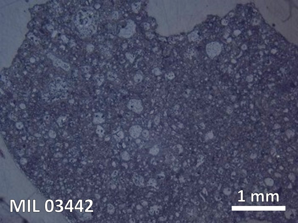 Thin Section Photo of Sample MIL 03442 in Reflected Light with  Magnification