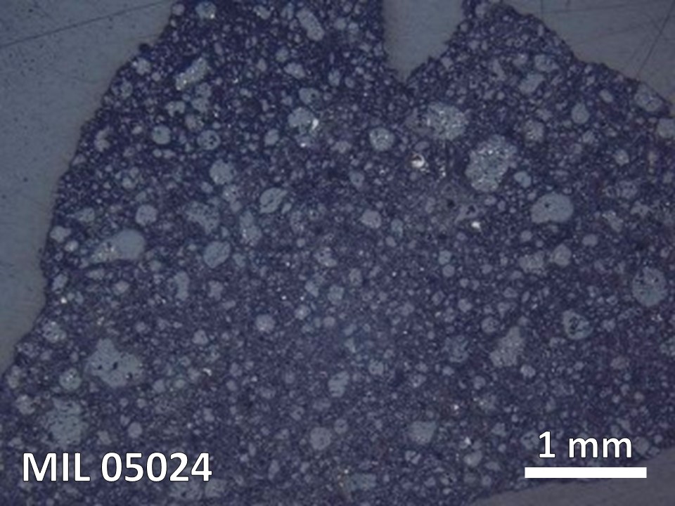 Thin Section Photo of Sample MIL 05024 in Reflected Light with 5X Magnification