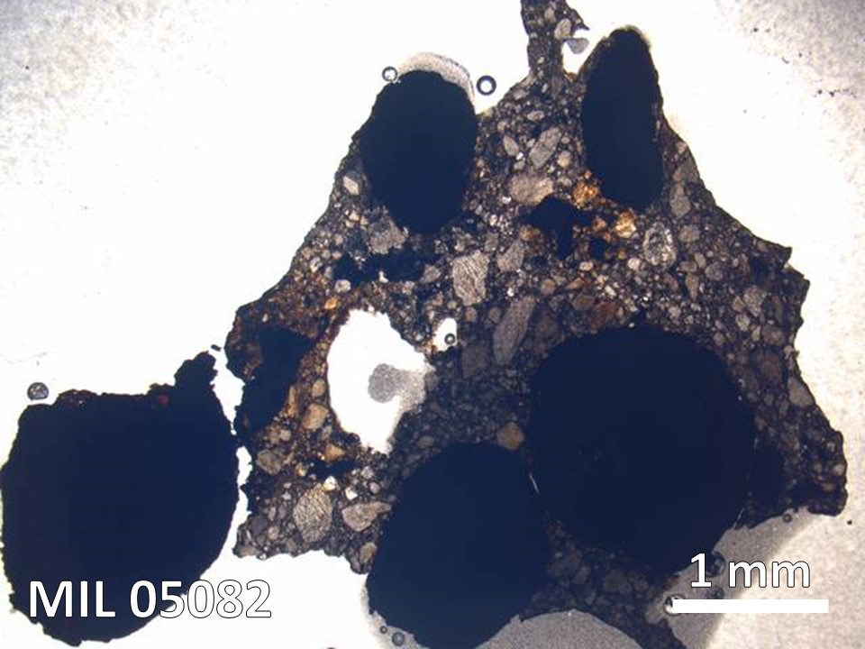 Thin Section Photo of Sample MIL 05082 in Plane-Polarized Light with 5X Magnification