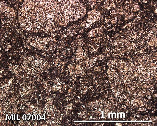 Thin Section Photograph of Sample MIL 07004 in Plane-Polarized Light