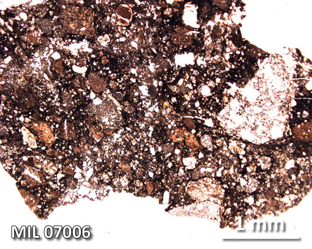 Thin Section Photograph of Sample MIL 07006 in Plane-Polarized Light