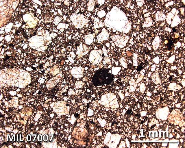 Thin Section Photograph of Sample MIL 07007 in Plane-Polarized Light