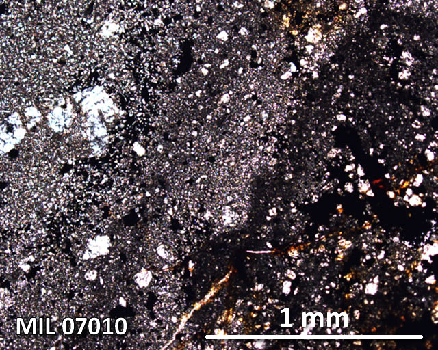 Thin Section Photograph of Sample MIL 07010 in Plane-Polarized Light