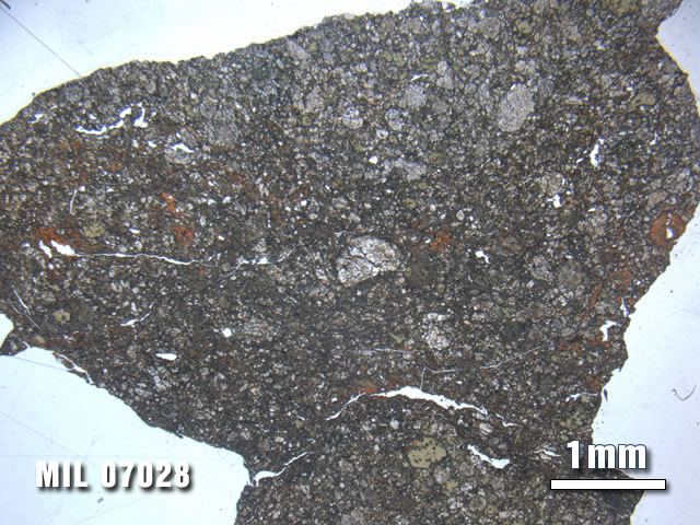 Thin Section Photo of Sample MIL 07028 at 1.25X Magnification in Plane-Polarized Light